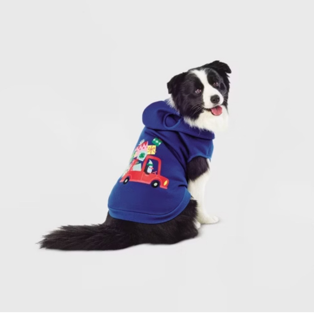 Wondershop Dog Hoodie